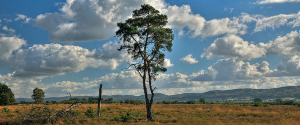 Die Landschaft als Atelier